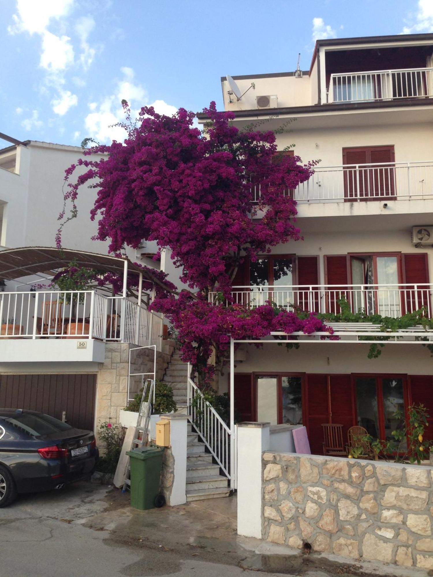 Apartment Duda Hvar Town Eksteriør bilde